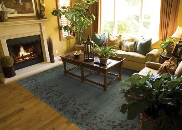 Allure 4D Blue/ Brown Rug