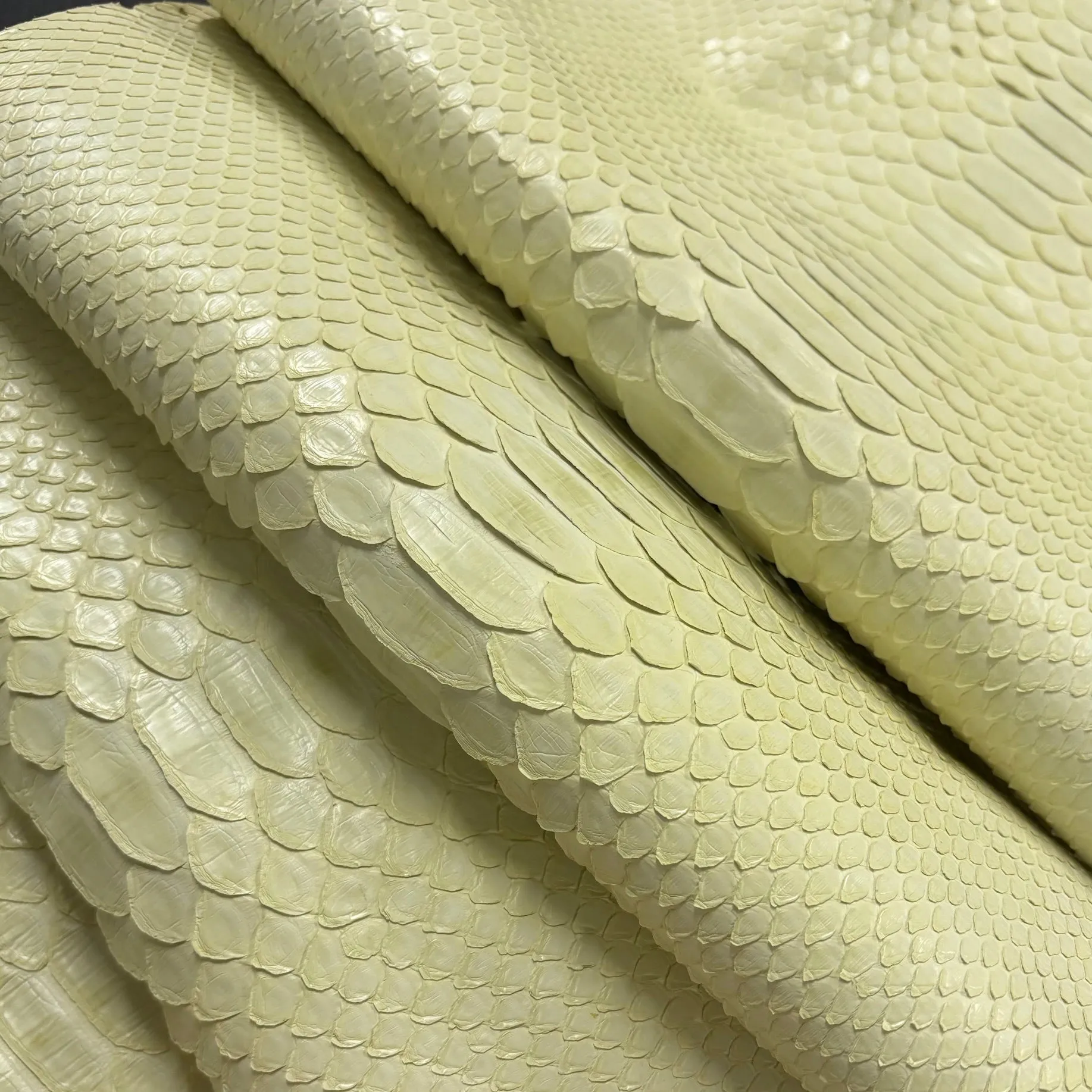 Python Matte | Pastel Citrus | Back Cut Long Tail