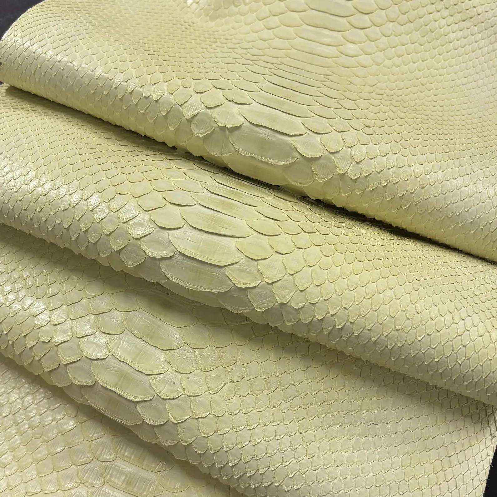 Python Matte | Pastel Citrus | Back Cut Long Tail