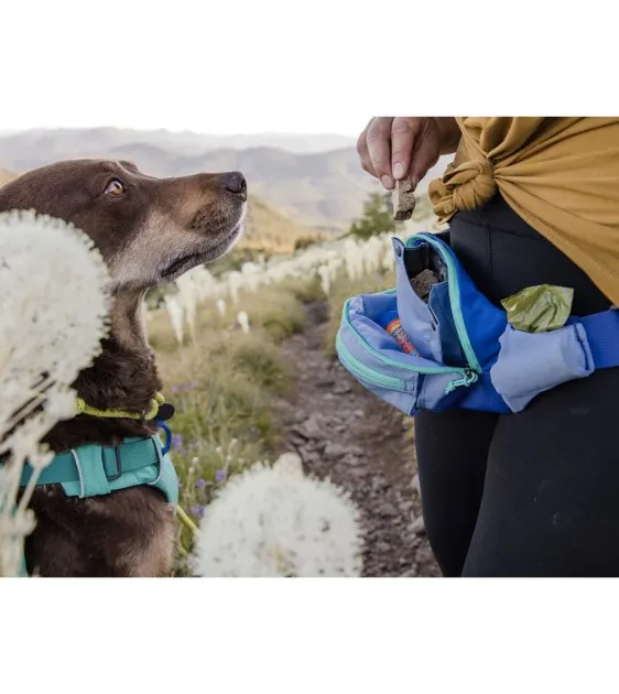 Ruffwear Home Trail™ Waist-Worn Hip Pack (Red Sumac)