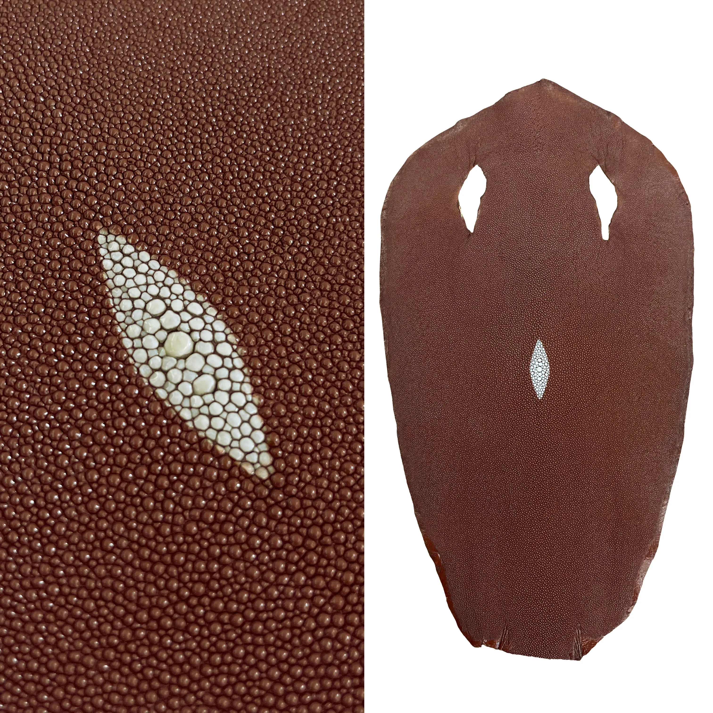 Stingray/Shagreen Genuine Skin | Peanut | 11" Wide